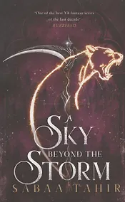 Купить A Sky Beyond the Storm — Фото №1