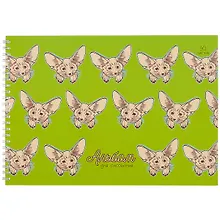 Купить Альбом для рисования Unnika, "Лисичка (графика)", А4, 30 листов, на гребне — Фото №1