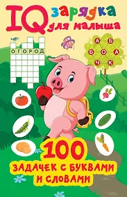 Купить 100 задачек с буквами и словами — Фото №1