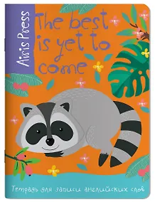 Купить Тетрадь для записи английских слов Айрис, "Енот", А5, 32 листа, в ассортименте — Фото №1