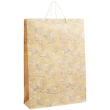 Купить Пакет А3 "BOTANIKA" крафт, женск. — Фото №1