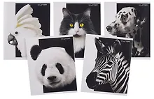 Купить Тетрадь 48л кл. "Черно-белые животные" мел.картон, ассорти — Фото №1