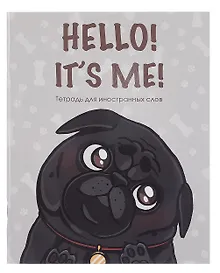 Купить Тетрадь для записи иностр.слов А5 48л "Hello!" скрепка, мел.картон, глянц.ламинация — Фото №1
