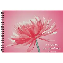 Купить Альбом для рисования Listoff, "Цветочная нежность", А4, 40 листов, на гребне — Фото №1