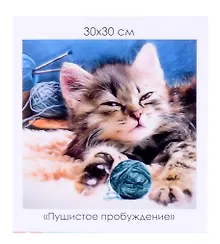 Купить Алмазная мозаика на канве "Пушистое пробуждение" (30*30 см) — Фото №1