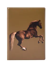 Купить Обложка для паспорта George Stubbs Whistlejacket (ОП2025-462) — Фото №1