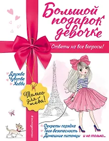 Купить Большой подарок девочке — Фото №1