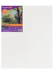 Купить Холст на подрамнике 30*40см грунтованный, 100% хлопок, мелкое зерно, BRAUBERG ART DEBUT — Фото №1