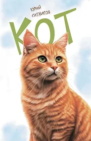 Купить Кот — Фото №1
