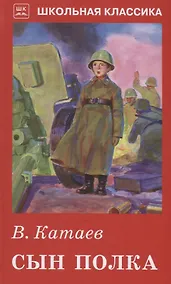 Купить Сын полка с цветными рисунками — Фото №1