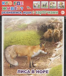 Купить Обучающие карточки. Кто где живет? — Фото №1