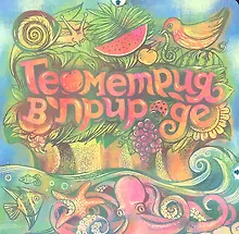 Купить Геометрия в природе — Фото №1