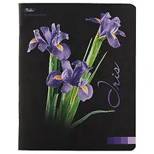 Купить Тетрадь в клетку Hatber, Flower on black, 48 листов, в ассортименте — Фото №1