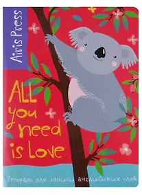 Купить Тетрадь для записи английских слов Айрис, "Коала", А5, 32 листа, в ассортименте — Фото №1