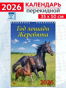 Купить Календарь 2026г 350*500 "Год лошади. Жеребята" настенный, на спирали — Фото №1