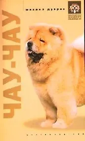 Купить Чау чау — Фото №1