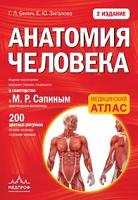 Купить Анатомия человека: 2 издание — Фото №1