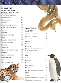 Купить Энциклопедия чудес света — Фото №1