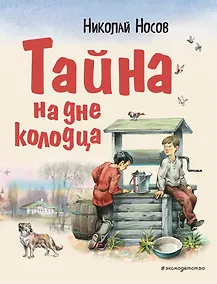 Купить Тайна на дне колодца — Фото №1