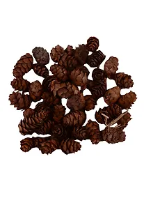 Купить Шишка мелкая, 50 грамм — Фото №1