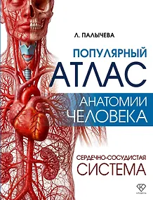 Купить Популярный атлас анатомии человека. Сердечно-сосудистая система — Фото №1