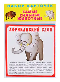 Купить Набор карточек "Самые сильные животные" — Фото №1