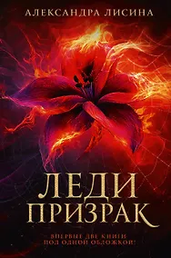 Купить Леди-призрак: Вакансия для призрака, Призрак на задании — Фото №1