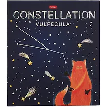 Купить Папка-обложка для тетради со сменными блоками А5 "Приходи считать звезды" 2 кольца,мат.ламин. 3D фольга, ассорти — Фото №1