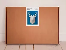 Купить Набор для моделирования, PAPERHEAD, Полигональная модель оленя 1.0 — Фото №1