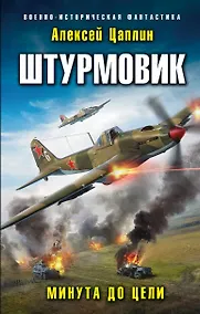 Купить Штурмовик. Минута до цели — Фото №1