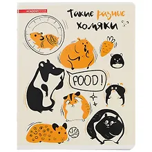 Купить Тетрадь в клетку Academy Style, "Такие разные звери", 48 листов, в ассортименте — Фото №1