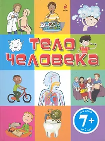 Купить Тело человека — Фото №1