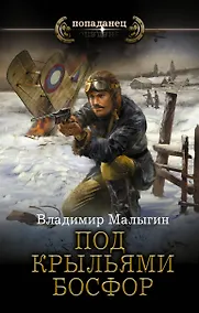 Купить Под крыльями Босфор — Фото №1