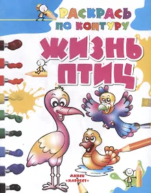 Купить Жизнь птиц — Фото №1