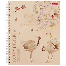 Купить Тетрадь в клетку Hatber, "Нежные тона", 96 листов, в ассортименте — Фото №1