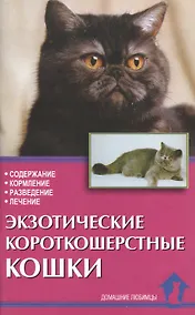 Купить Экзотические короткошерстные кошки. Содержание. Кормление. Разведение. Лечение — Фото №1