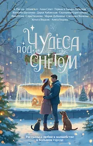 Купить Чудеса под снегом. Рассказы о любви и волшебстве в большом городе — Фото №1