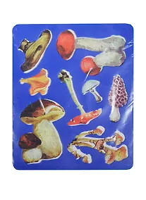 Купить Трафарет пластмассовый фигурный Грибы (9С 450-08) (упаковка) (упак.(10)) — Фото №1