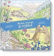 Купить Живая природа. В горах — Фото №1