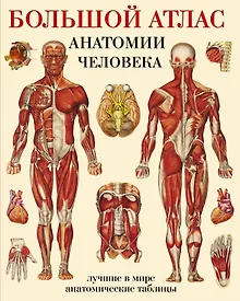Купить Большой атлас анатомии человека — Фото №1