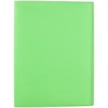 Купить Папка с файлами «Neon», Erich Krause, 40 штук, А4 — Фото №1