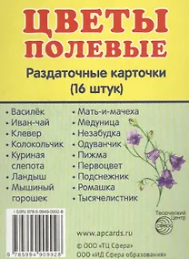Купить Демонстрационные картинки СУПЕР Цветы полевые.16 раздаточных карточек с текстом (63х87 мм) — Фото №1