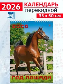 Купить Календарь 2026г 350*500 «Год лошади» настенный, на спирали — Фото №1