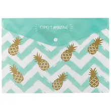 Купить Папка-конверт А4 "Golden pineapple" — Фото №1