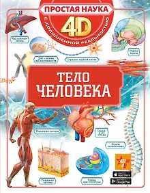 Купить Тело человека — Фото №1