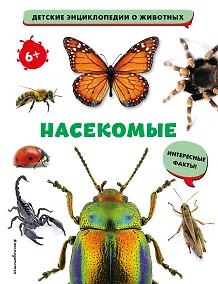 Купить Насекомые — Фото №1