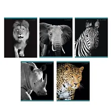 Купить Тетрадь в клетку Listoff, "В мире дикой природы", 96 листов — Фото №1