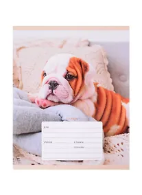 Купить Тетрадь в линейку Listoff, "Утро собачек", 18 листов, в ассортименте — Фото №1