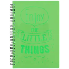 Купить Тетрадь общая в клетку LIGHT BOOK, А5, 80 листов, зелёная — Фото №1