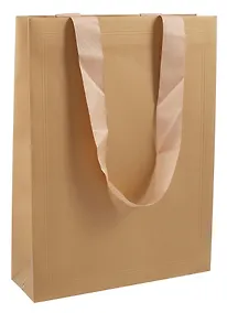 Купить Пакет А3 42*32*10 "Gold" — Фото №1